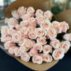 A beautiful bouquet of premium 50 blush pink roses, finished with a