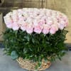Large basket of pale pink roses with dense greenery