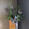 Eye catching fern with decorative butterflies. 