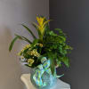 Bromeliads, kalanchoe and fern all dressed up in a pot together. 