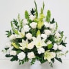 Large symmetrical fan of white lilies, roses, carnations and green snapdragons in
