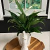 Potted peace lily in a white angel-shaped planter