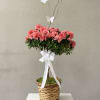 This pretty azalea tree serves up a plethora of salmon colored petals.