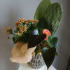 A sculptural, desert-inspired plant arrangement that feels both modern and slightly dramatic-the