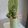 A compact, modern-rustic potted succulent arrangement that feels like a little patch