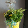 Cheerful green and yellow potted plants make an immediate sunny statement -