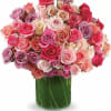 A lush dome of roses in pink, lavender, blush, cream and red