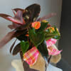 Glossy tropical foliage and bold orange anthuriums make this potted plant arrangement