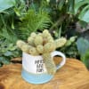 A living succulent selected and grown to complement a mug about 4