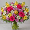 Bright, vibrant, and full of life &mdash; our Carolina Sunrise Garden Rose