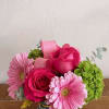 Hot pink roses paired with pale pink gerbera daisies and bright green