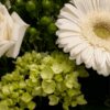 This lovely piece uses whites, greens and soft yellow blooms to create