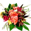 A bombastic blossoming of colors and fragrances. Low compact design comprised of