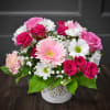 A bright pale-pink gerbera takes center stage in this cheerful Daisy Daydreams