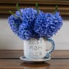 Bright blue hyacinths packed into a white ceramic mug make a cheerful