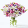 Bloom Details
Daisy
Lavender
Lily
Mixed