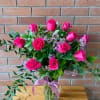 Pink roses arranged in a glass vase with a ribbon