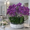 Purple orchids arranged in a white bowl planter with dark stones