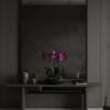 Potted purple orchids arranged on a low table in a dark room