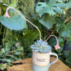 A living succulent selected and grown to complement a mug about 4
