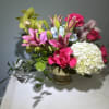 a stunning compote gold vase with 2 stems of cymbidium orchs with