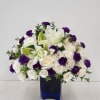 A refined mix of white roses and lilies punctuated by vivid purple