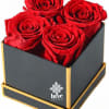 Four large red roses set in a sleek square black gift box