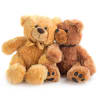 Two plush teddy bears sitting together on a white background