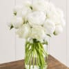 White Peonies in a Vase