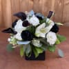 A unique arrangement of black and white flowers. In a black vase