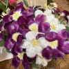 Bouquet of purple and white tulips with yellow centers