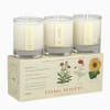 The best-selling Plant The Box candles are now available as votive trio