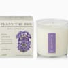 The simple, classic and unmistakable aroma of fresh lavender flowers. Crisp, herbaceous