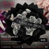  Black Diamond Bloom &ndash; Class of 2026 

25 black &amp; metallic