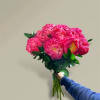 Handheld bouquet of bright pink peonies with green foliage