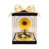 A real Ecuadorian sunflower, professionally preserved to maintain its natural beauty for
