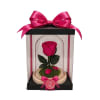 A real Ecuadorian rose, preserved to maintain its bold hot pink color