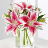 Beautiful pink lilies, simple, elegant beauty.