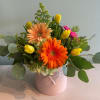 Beautiful 6 by 6 inch ceramic vase in assorted pastel colors with