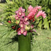 Pink orchids arranged in a tall green vase with red berry accents