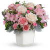 Nothing's sweeter than the prettiest pink and cream roses presented in a