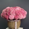 A soft, romantic statement piece featuring lush premium hydrangeas in layered shades