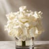 White Roses in Vase