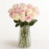 Pet Friendly?
Yes - According to ASPCA guidelines, Roses and Salal are