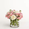  Pet Friendly?
NO .
Alstroemeria and Baby&rsquo;s Breath are considered mildly toxic to