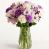  Pet Friendly?
NO - Chrysanthemums/daisies and carnations are listed by the ASPCA