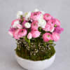 A refined floral arrangement featuring soft pink ranunculus paired with delicate white