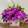 In a beautiful ceramic pot, combination of purple, hydrogen and purple orchids