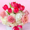 A charming mix of elegance and freshness, this pink and white flower