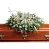 "As serene as gently falling snow, this pure white spray of hydrangea